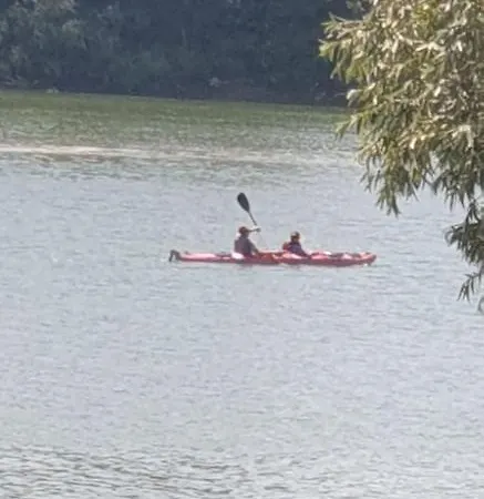 Sava Villa *